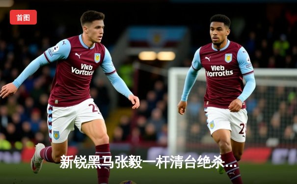 新锐黑马张毅一杆清台绝杀，勇夺2024在线台球大师赛桂冠