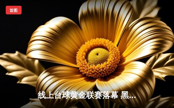 线上台球黄金联赛落幕 黑马选手李明决胜局147分绝杀夺冠